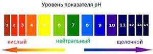 Кислотність грунту має дуже суттєвий вплив на форм...